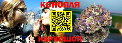 шишки Бийск
