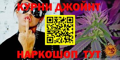 шишки Бийск
