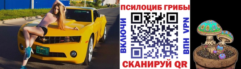 где продают наркотики  блэк спрут онион  площадка как зайти  Вольск  Галлюциногенные грибы ЛСД 