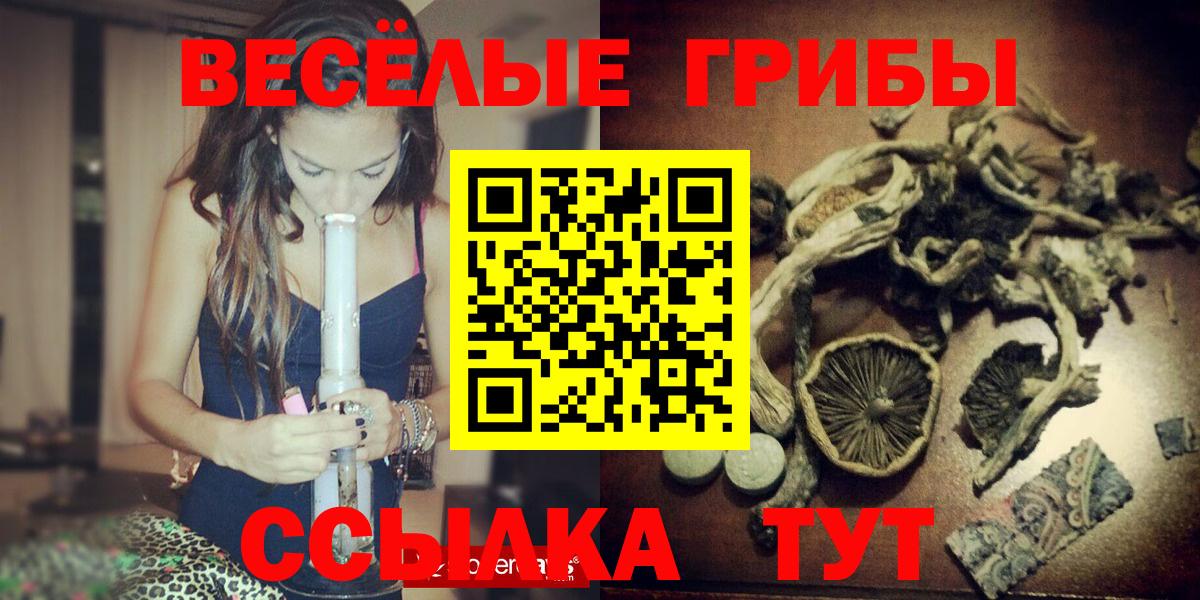 Псилоцибиновые грибы ЛСД  наркотики  Псилоцибиновые грибы Magic Shrooms  Вольск  Вход с VPN 