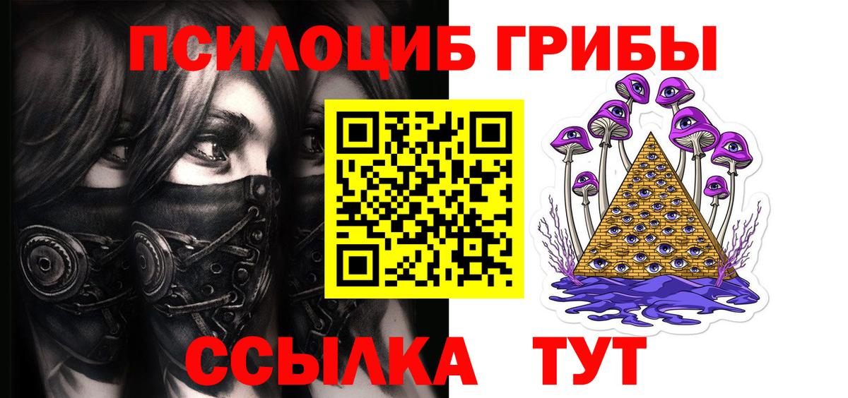 наркотики  Вольск  Псилоцибиновые грибы прущие грибы 