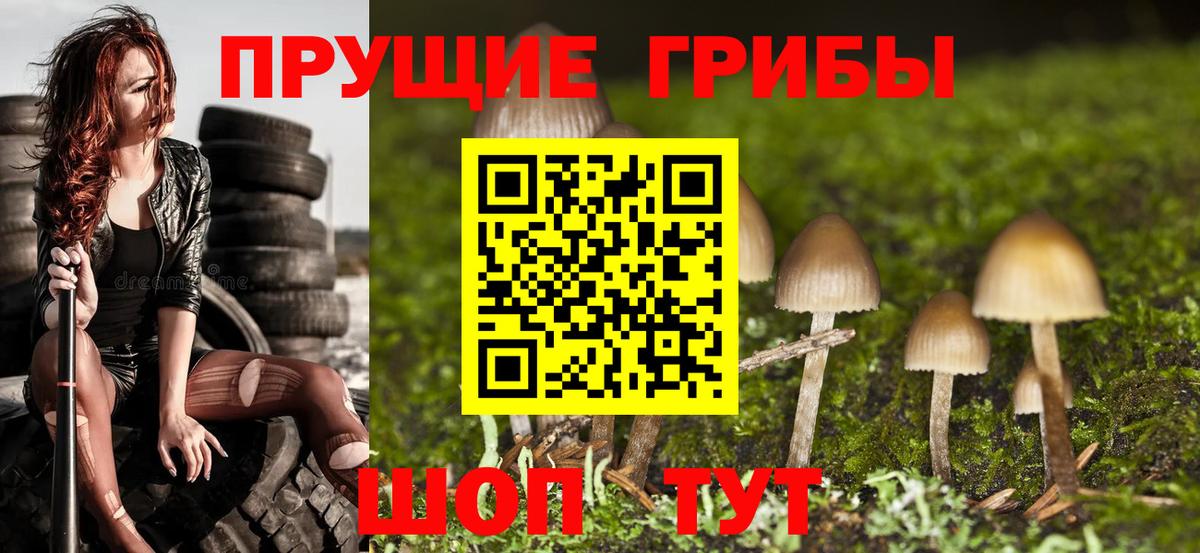 Мяу-Мяу  Гарик  NBOMe  Амфетамин  Вход с VPN  Вольск  Бошки Шишки 