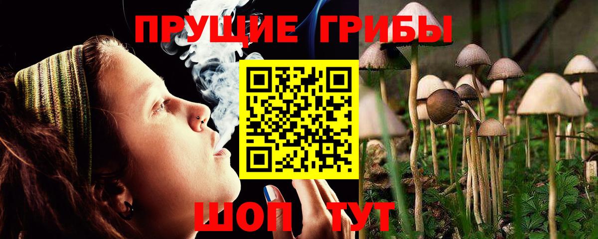 Псилоцибиновые грибы MAGIC MUSHROOMS Вольск