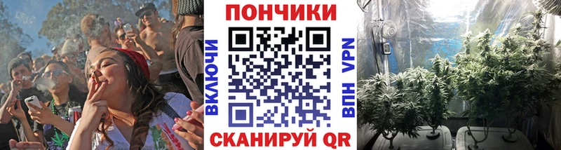 наркота  Вольск  Бошки марихуана AK-47 