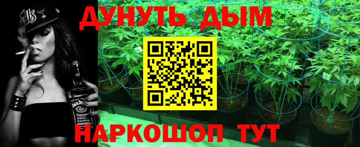 Каннабис ГИДРОПОН  Шишки марихуана Bruce Banner  Вольск  Шишки марихуана сатива 